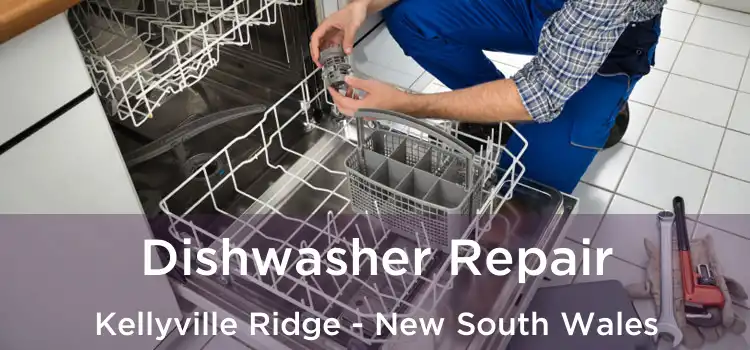Dishwasher Repair Kellyville Ridge - New South Wales