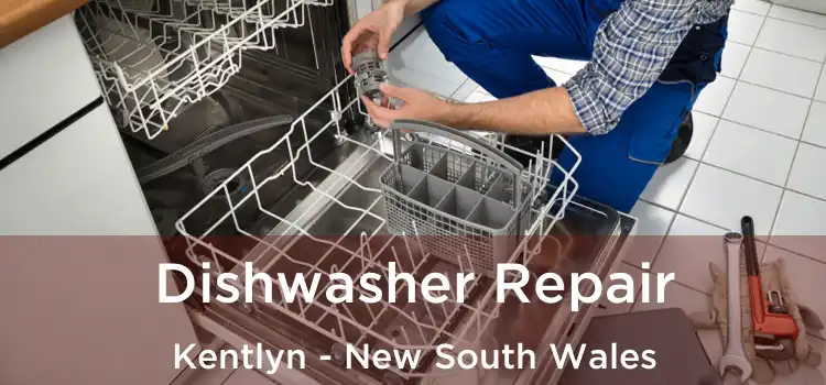 Dishwasher Repair Kentlyn - New South Wales