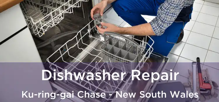 Dishwasher Repair Ku-ring-gai Chase - New South Wales