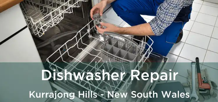 Dishwasher Repair Kurrajong Hills - New South Wales