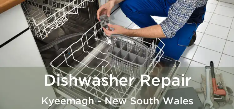 Dishwasher Repair Kyeemagh - New South Wales