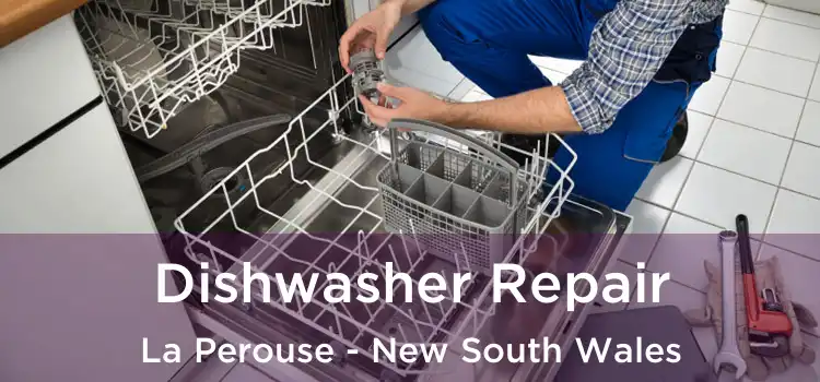 Dishwasher Repair La Perouse - New South Wales
