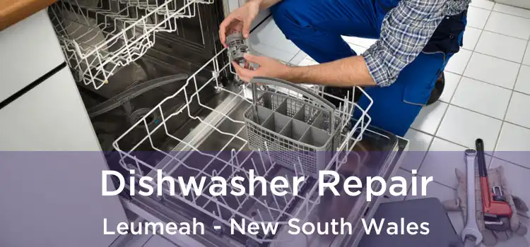 Dishwasher Repair Leumeah - New South Wales