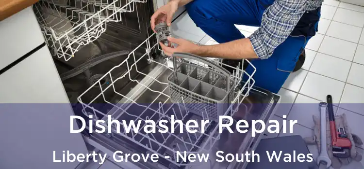 Dishwasher Repair Liberty Grove - New South Wales