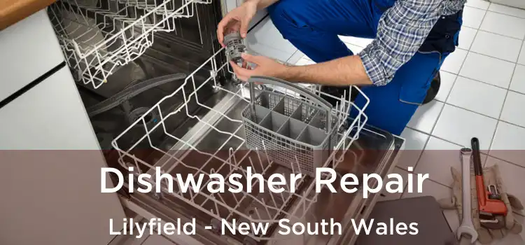Dishwasher Repair Lilyfield - New South Wales