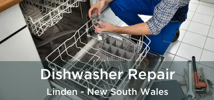 Dishwasher Repair Linden - New South Wales