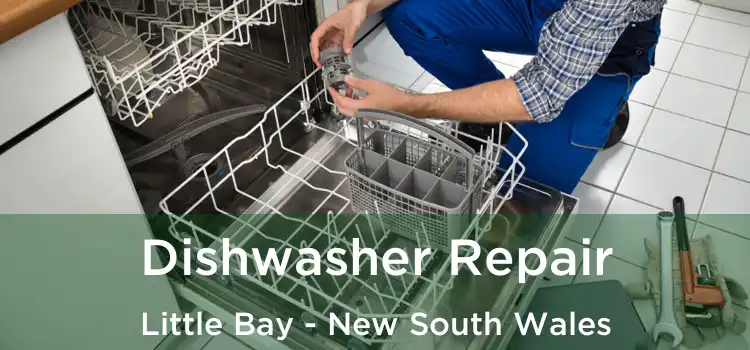 Dishwasher Repair Little Bay - New South Wales