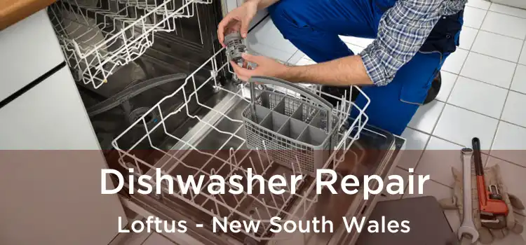 Dishwasher Repair Loftus - New South Wales