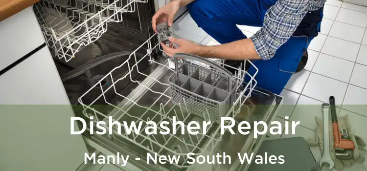 Dishwasher Repair Manly - New South Wales