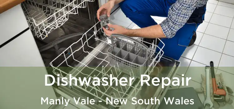 Dishwasher Repair Manly Vale - New South Wales