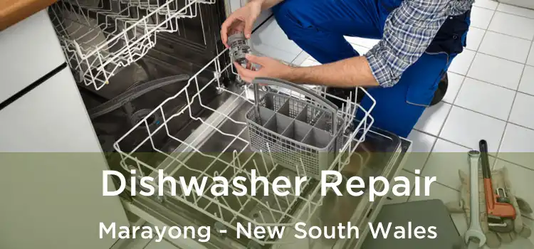 Dishwasher Repair Marayong - New South Wales