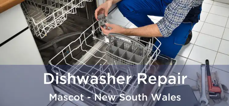 Dishwasher Repair Mascot - New South Wales
