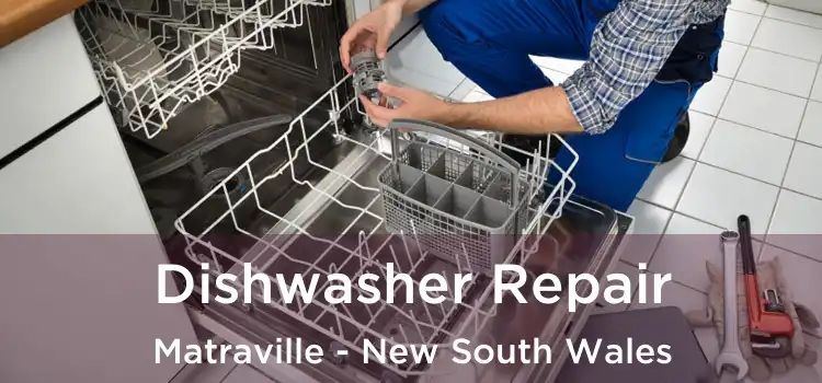 Dishwasher Repair Matraville - New South Wales