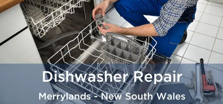 Dishwasher Repair Merrylands - New South Wales