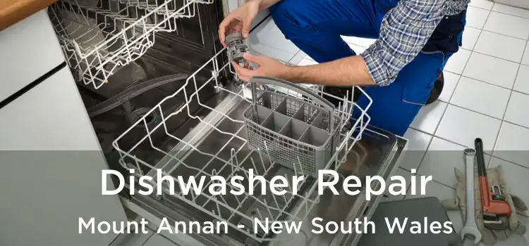 Dishwasher Repair Mount Annan - New South Wales