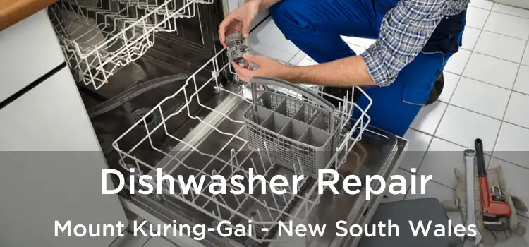 Dishwasher Repair Mount Kuring-Gai - New South Wales