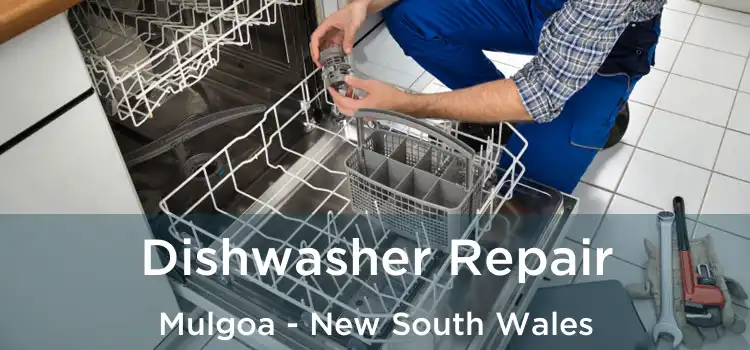 Dishwasher Repair Mulgoa - New South Wales