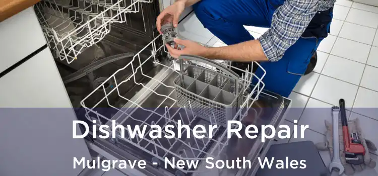 Dishwasher Repair Mulgrave - New South Wales