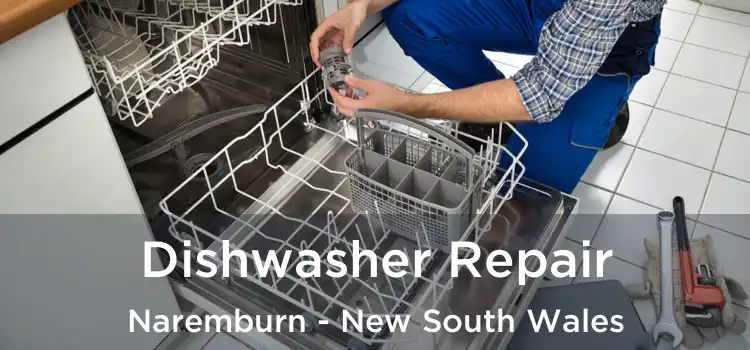 Dishwasher Repair Naremburn - New South Wales