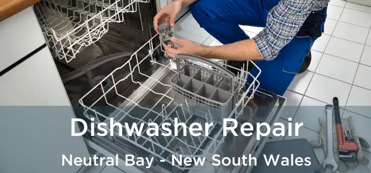 Dishwasher Repair Neutral Bay - New South Wales