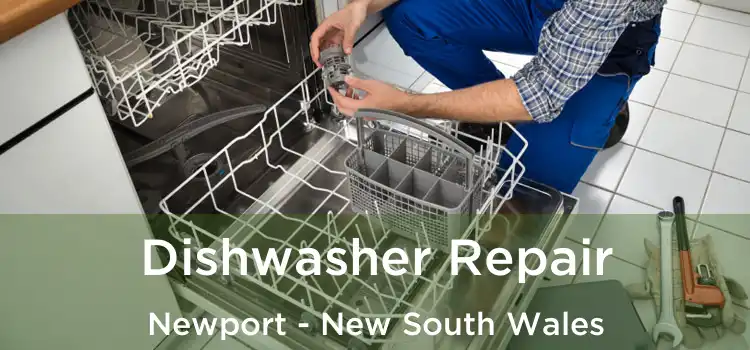 Dishwasher Repair Newport - New South Wales