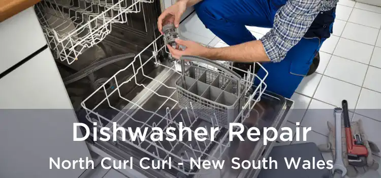 Dishwasher Repair North Curl Curl - New South Wales