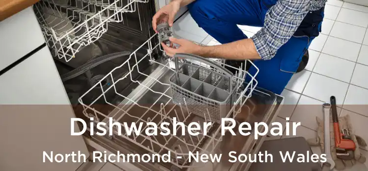 Dishwasher Repair North Richmond - New South Wales