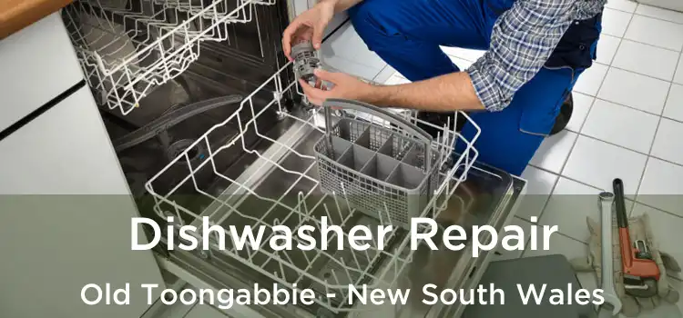 Dishwasher Repair Old Toongabbie - New South Wales