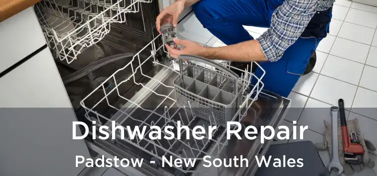 Dishwasher Repair Padstow - New South Wales