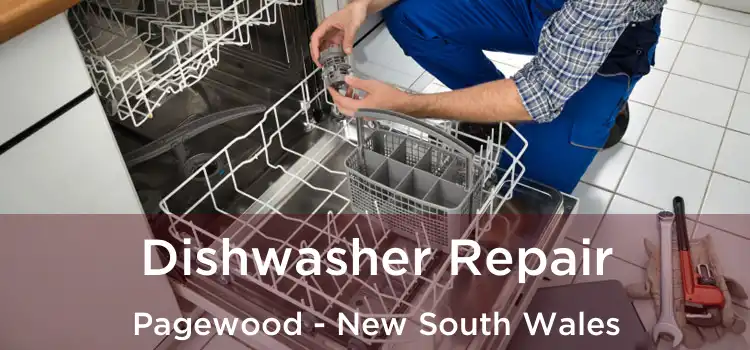Dishwasher Repair Pagewood - New South Wales