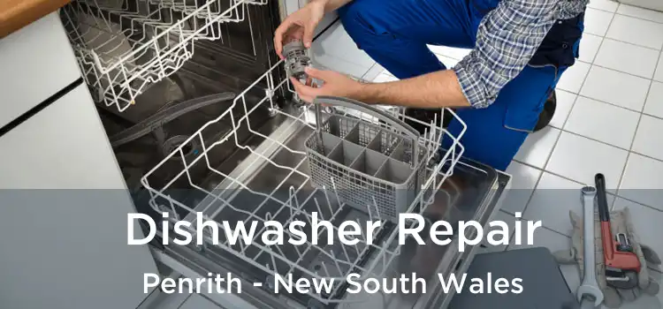 Dishwasher Repair Penrith - New South Wales