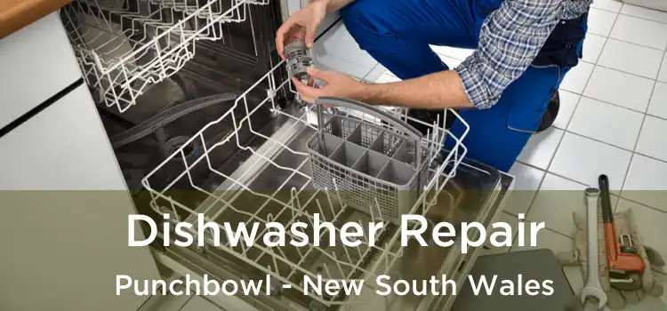 Dishwasher Repair Punchbowl - New South Wales