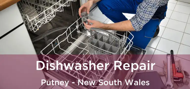 Dishwasher Repair Putney - New South Wales