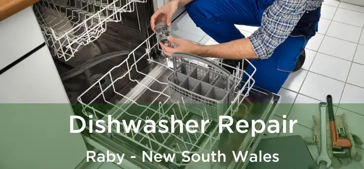 Dishwasher Repair Raby - New South Wales