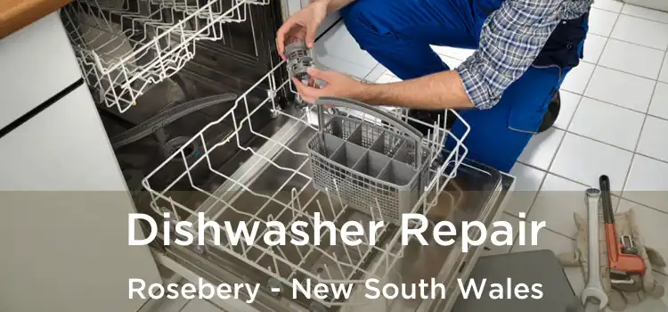 Dishwasher Repair Rosebery - New South Wales