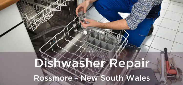 Dishwasher Repair Rossmore - New South Wales