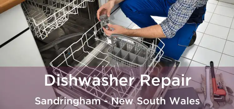 Dishwasher Repair Sandringham - New South Wales