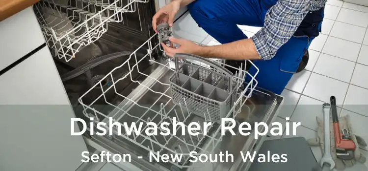 Dishwasher Repair Sefton - New South Wales
