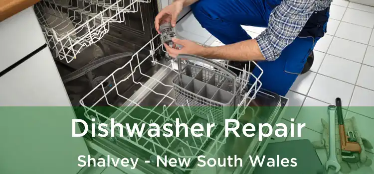 Dishwasher Repair Shalvey - New South Wales