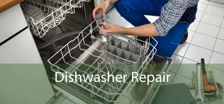 Dishwasher Repair