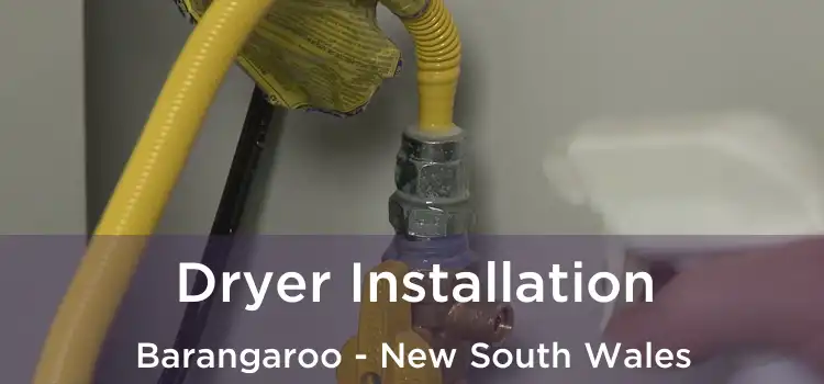 Dryer Installation Barangaroo - New South Wales