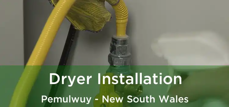 Dryer Installation Pemulwuy - New South Wales