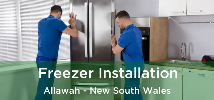 Freezer Installation Allawah - New South Wales