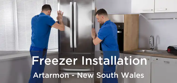 Freezer Installation Artarmon - New South Wales