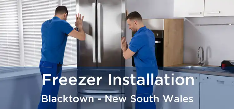 Freezer Installation Blacktown - New South Wales