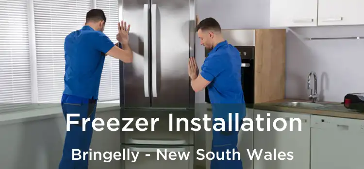 Freezer Installation Bringelly - New South Wales