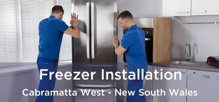 Freezer Installation Cabramatta West - New South Wales
