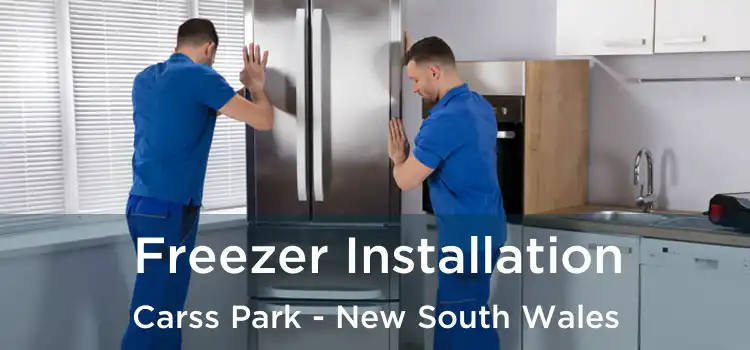 Freezer Installation Carss Park - New South Wales
