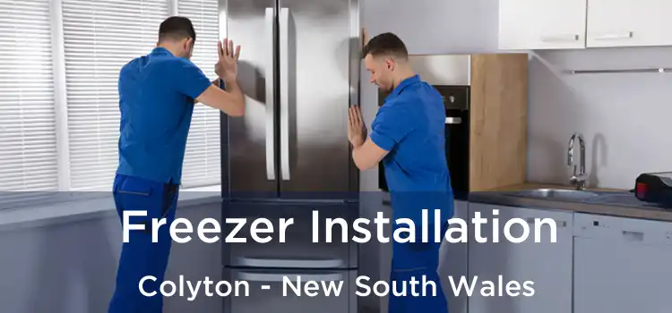 Freezer Installation Colyton - New South Wales