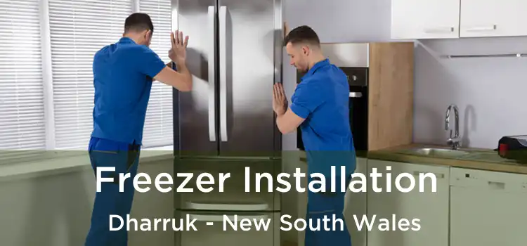 Freezer Installation Dharruk - New South Wales